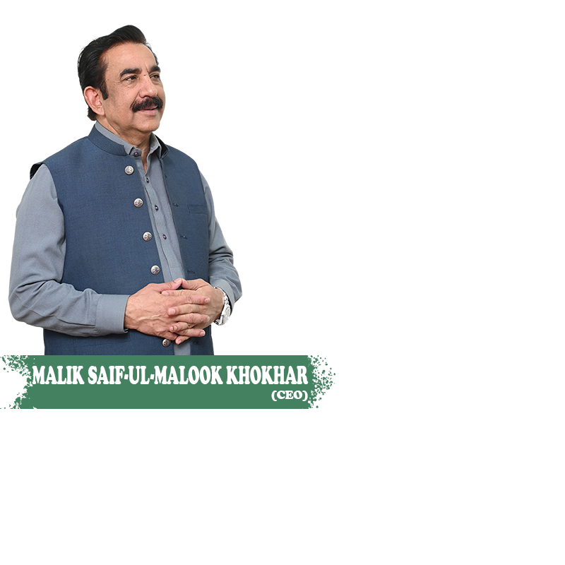 Malik Saif ul Malook Khokhar CEO